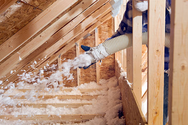 Best Insulation Removal  in Chandler, TX