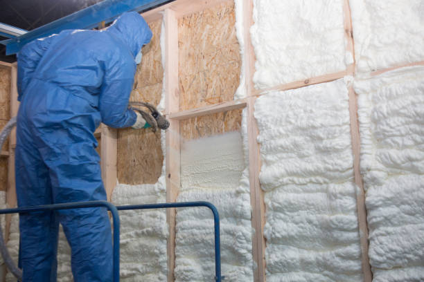 Best Reflective Insulation  in Chandler, TX